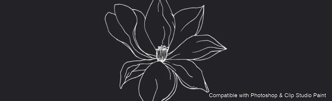 Magnolia Bloom brush 54 of 60 — Photoshop & Clip Studio Paint .abr preview