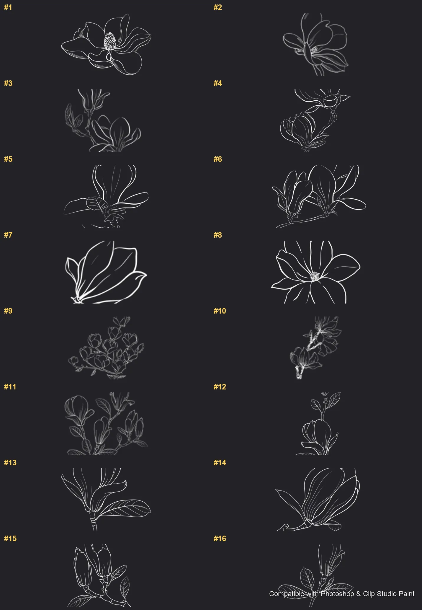 Magnolia Bloom Photoshop & Clip Studio Paint brushes overview sheet 1