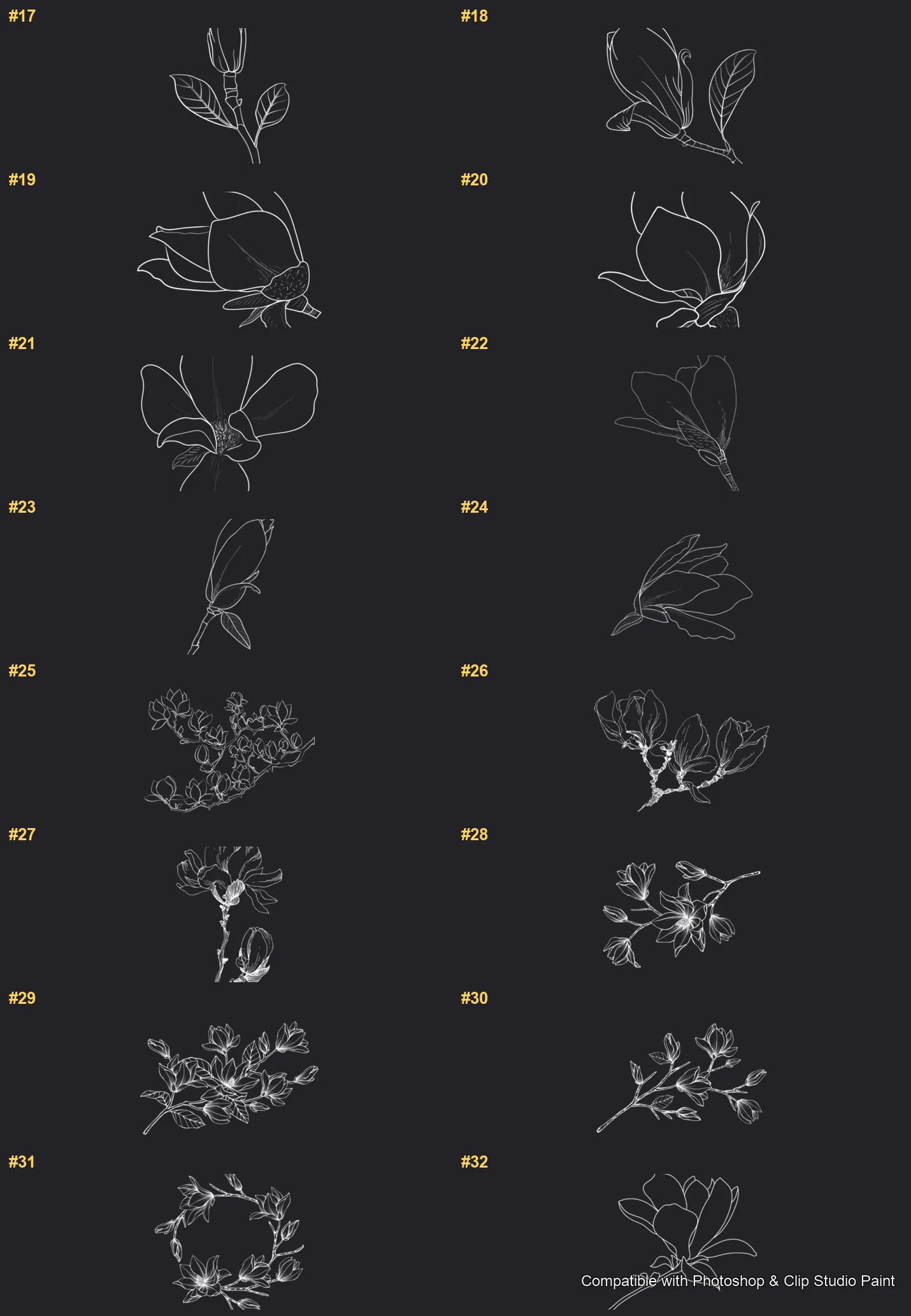 Magnolia Bloom Photoshop & Clip Studio Paint brushes overview sheet 2