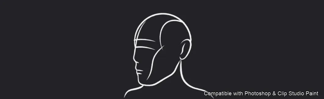 Male Head Lab brush 10 of 34 — Photoshop & Clip Studio Paint .abr preview