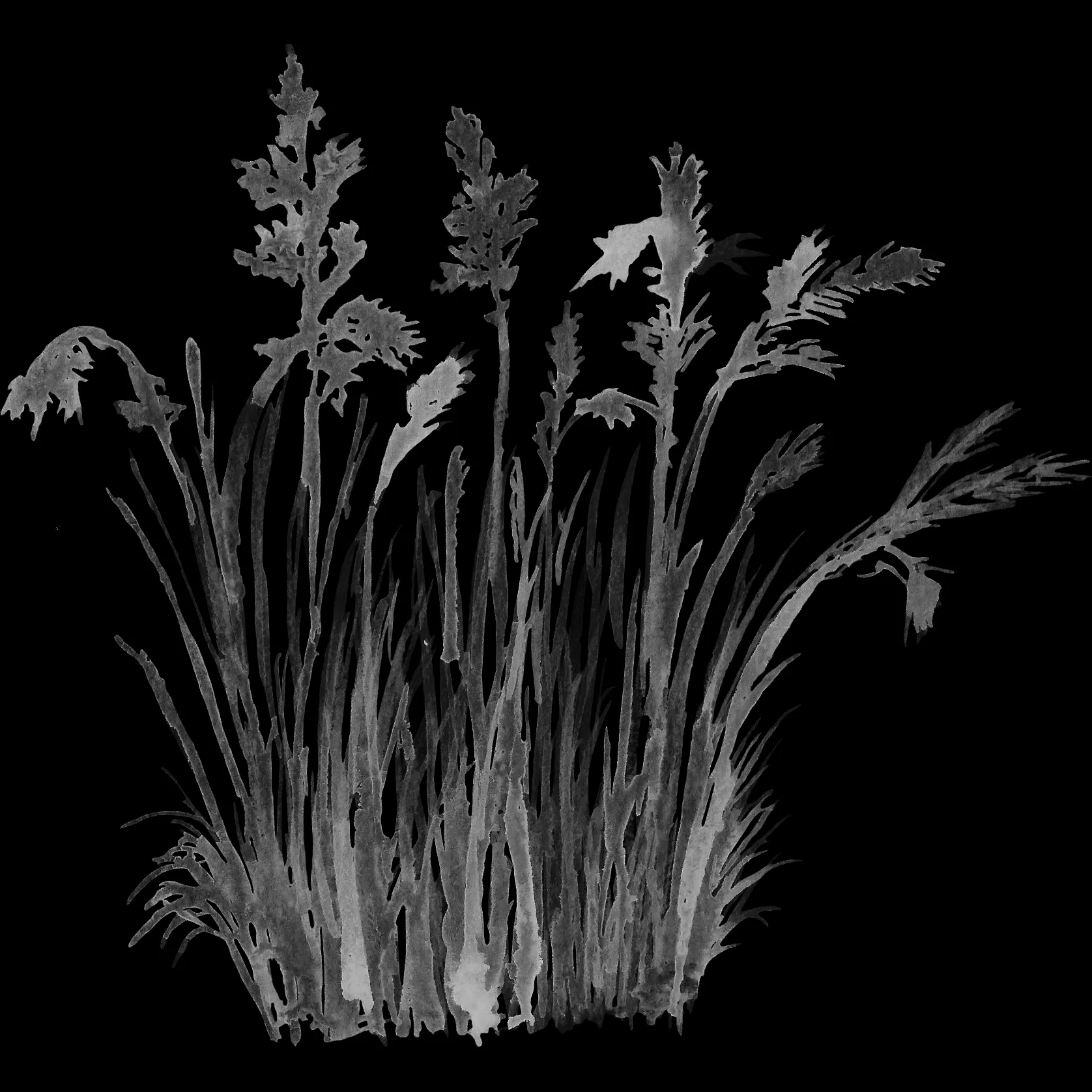 Single Grass brush 29 of 38 — Procreate stamp preview