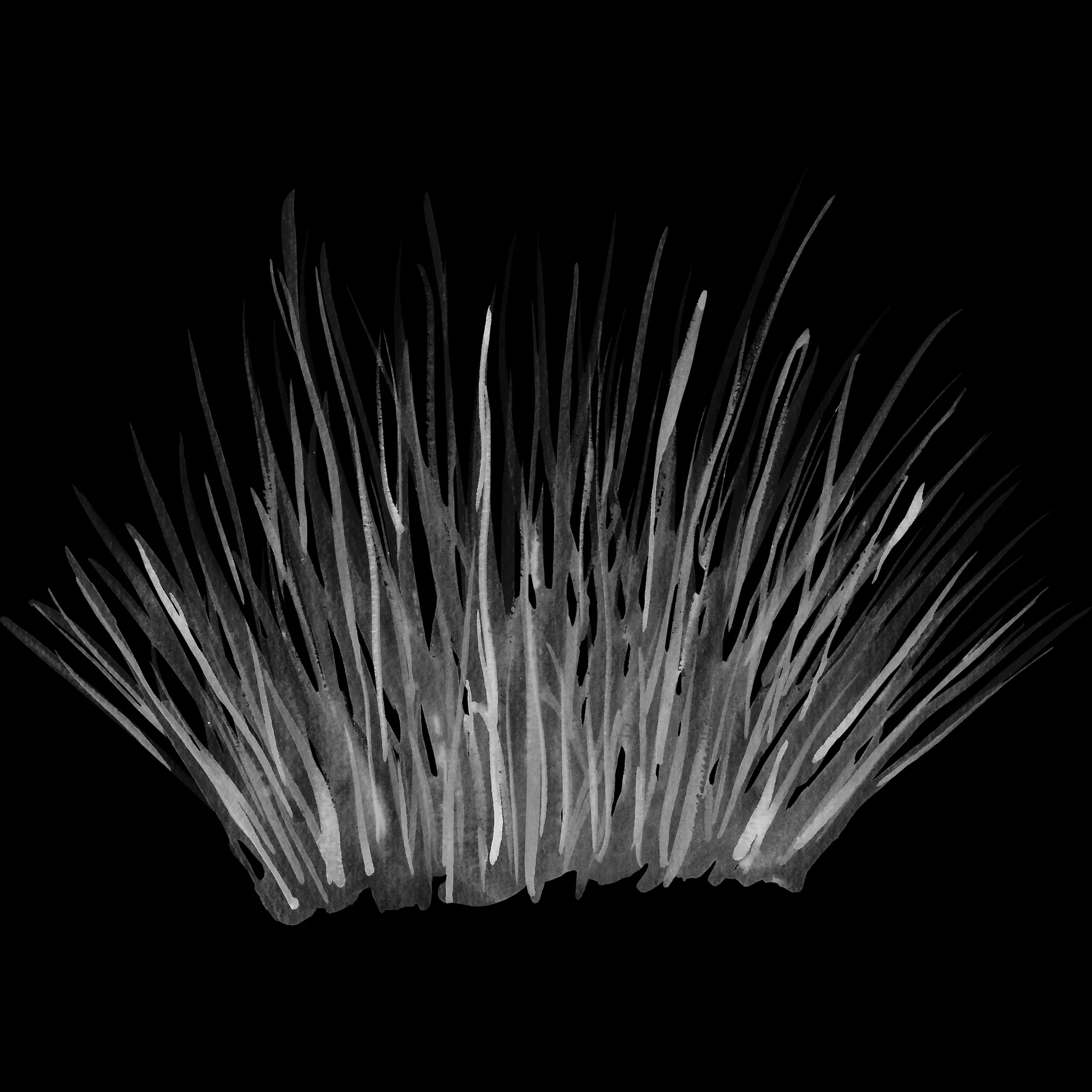 Single Grass brush 31 of 38 — Procreate stamp preview