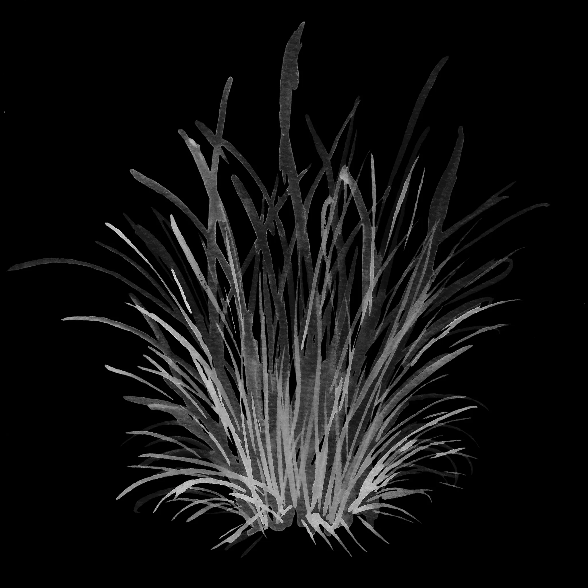 Single Grass brush 32 of 38 — Procreate stamp preview